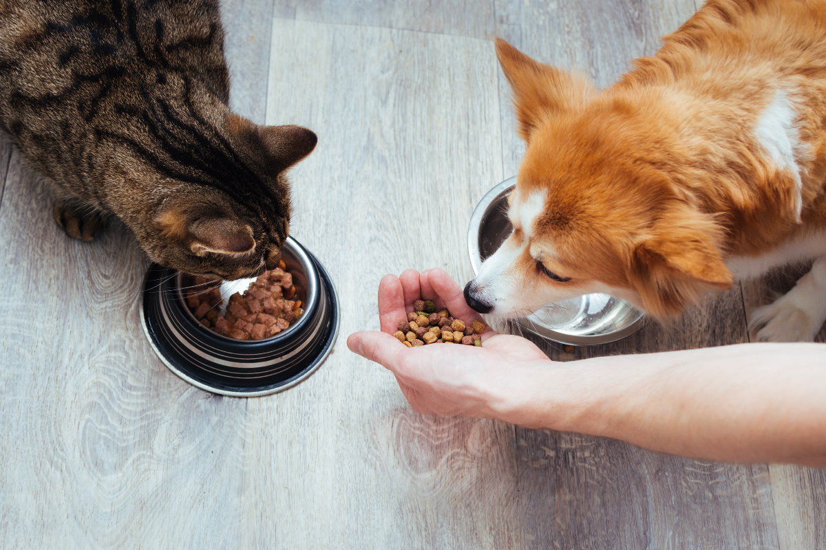 選擇優質寵物食品的建議