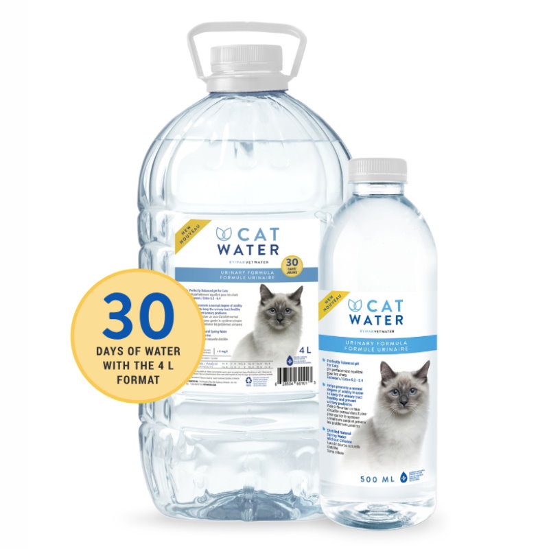 CAT WATER