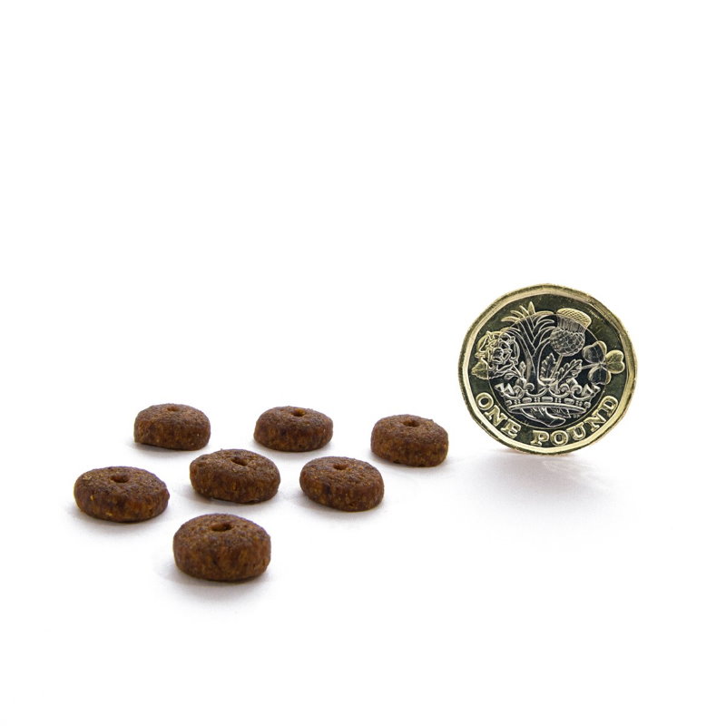 無穀物火雞健齒配方（小型犬）