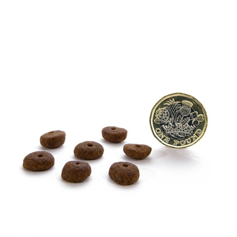 無穀物田園野味配方（小型犬）