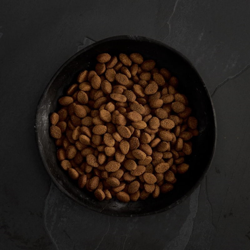 無穀物田園野味配方（全犬）