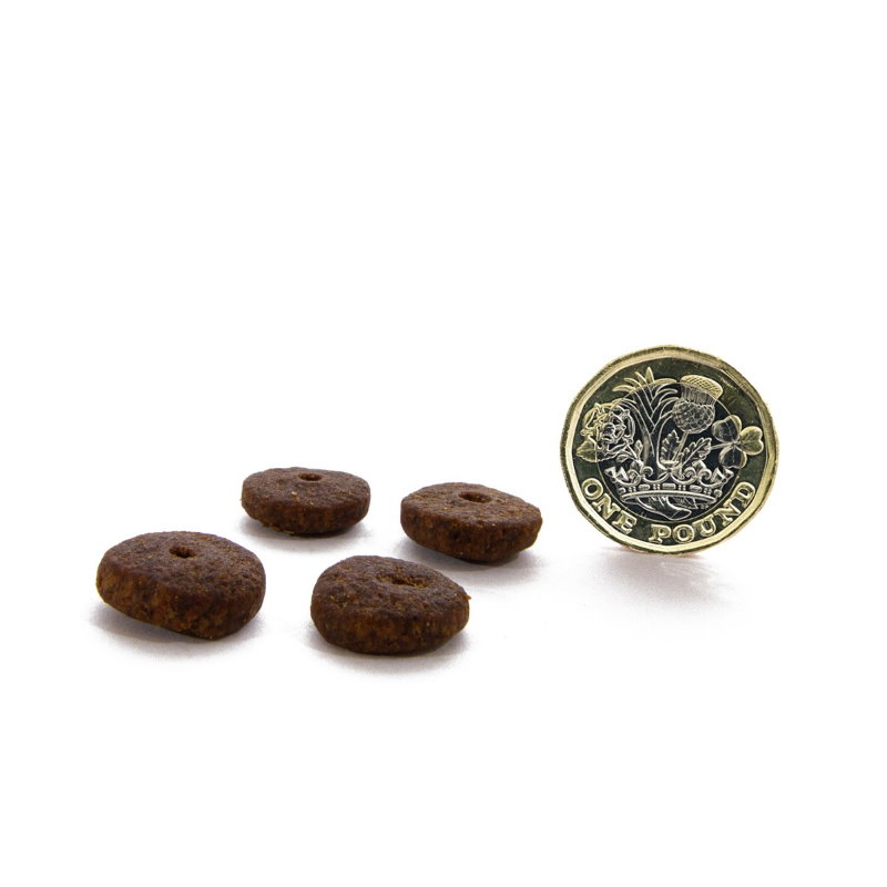 無穀物走地雞配方（減肥/老犬）