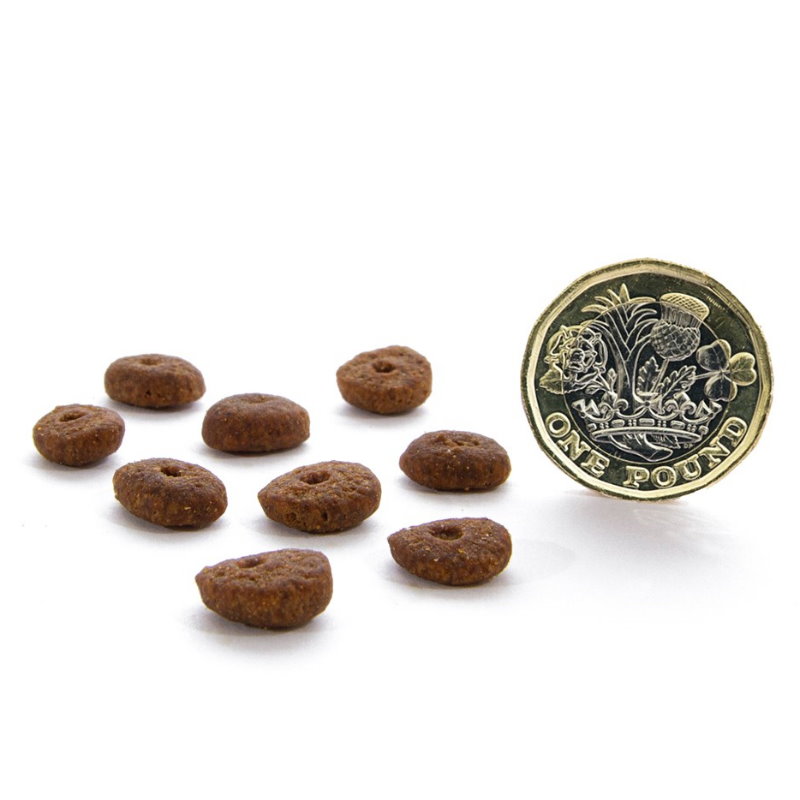 無穀物走地雞貓配方(減肥/高齡)