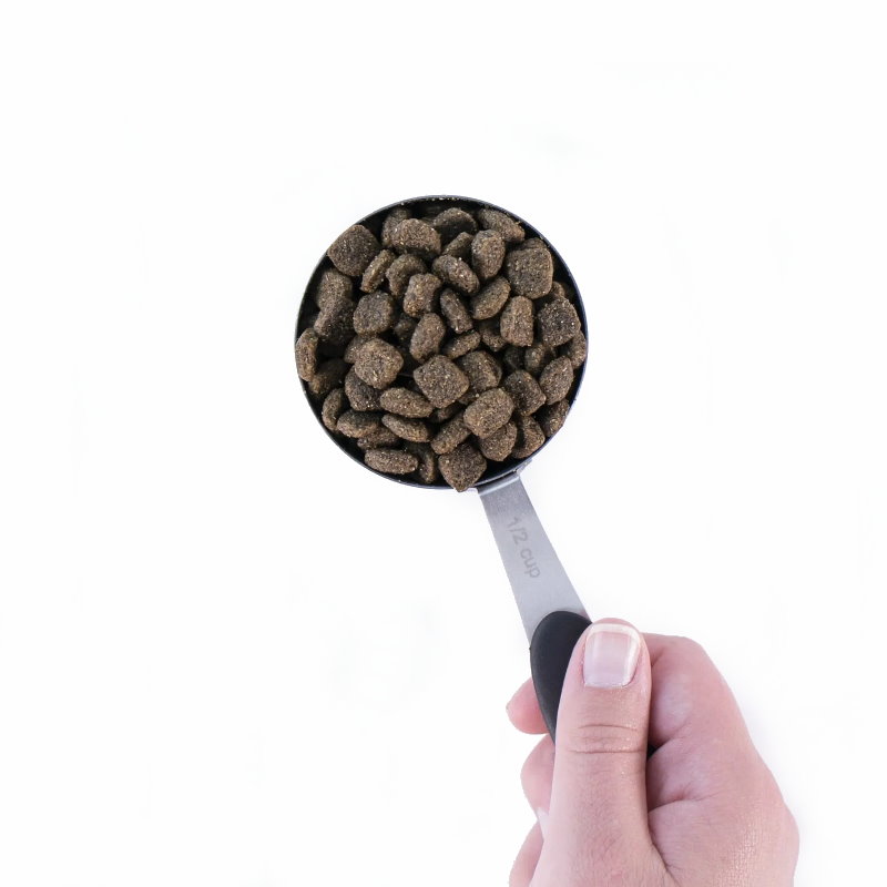 無穀物 全犬配方 羊+碗豆