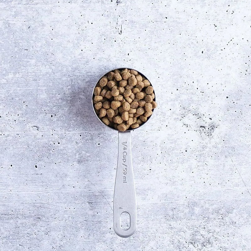 無穀物 全貓配方 火雞+雞肉