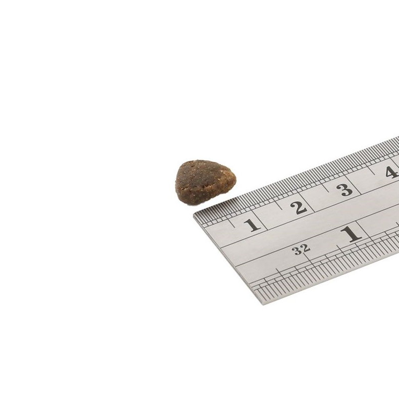 全貓 三文魚