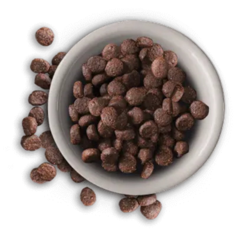 德國天然 成貓羊肉配方